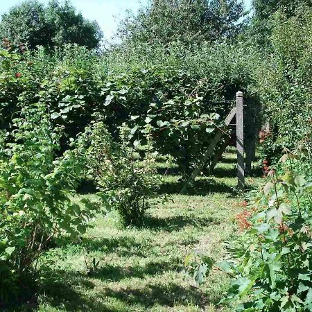Le Clos Des Tilleuls La Vendelee ภายนอก รูปภาพ