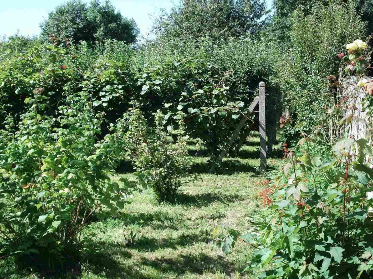 Le Clos Des Tilleuls La Vendelee ภายนอก รูปภาพ