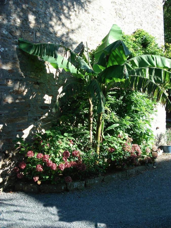 Le Clos Des Tilleuls La Vendelee ภายนอก รูปภาพ